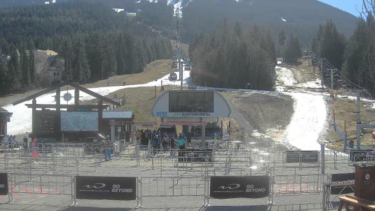Webcam Whistler Blackcomb: Upper Village