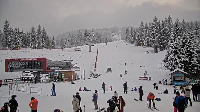 Webcam Whistler Blackcomb: Village