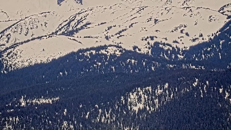 Webcam Whistler Blackcomb: Whistler Peak