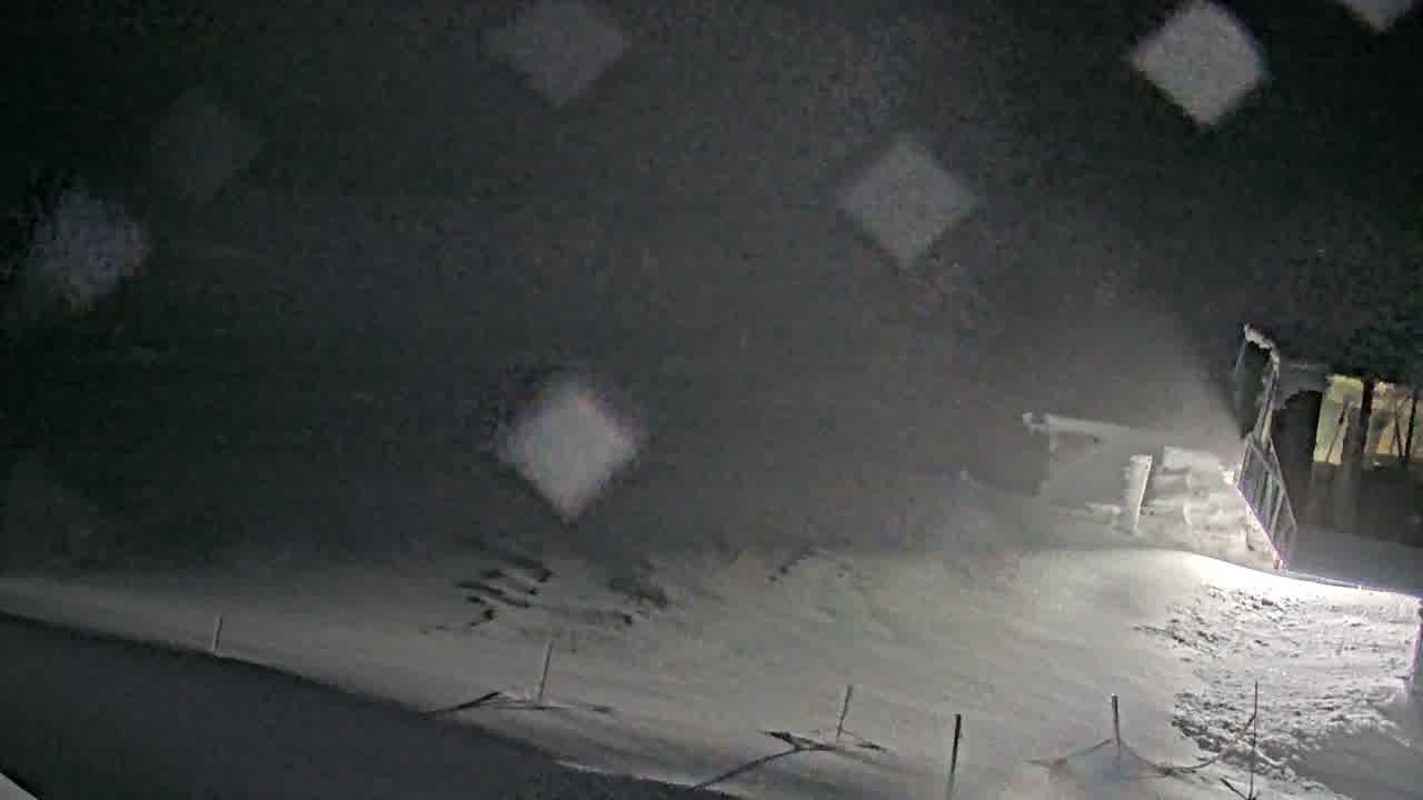 Webcam Whistler Blackcomb: Whistler Peak