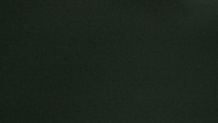 Webcam Whistler Blackcomb: Whistler Peak