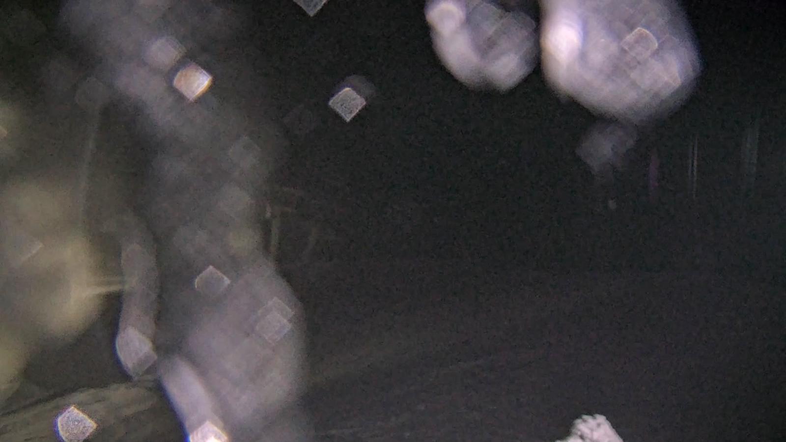 Webcam Whistler Blackcomb: Whistler Peak