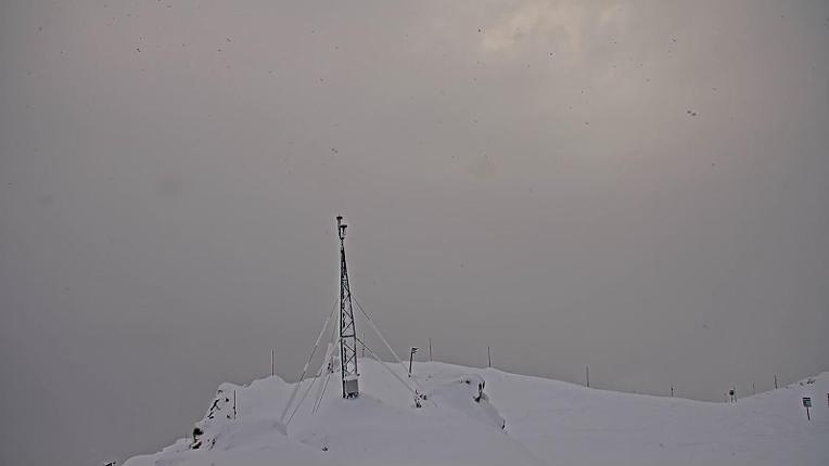 Webcam Whistler Blackcomb: Whistler Peak