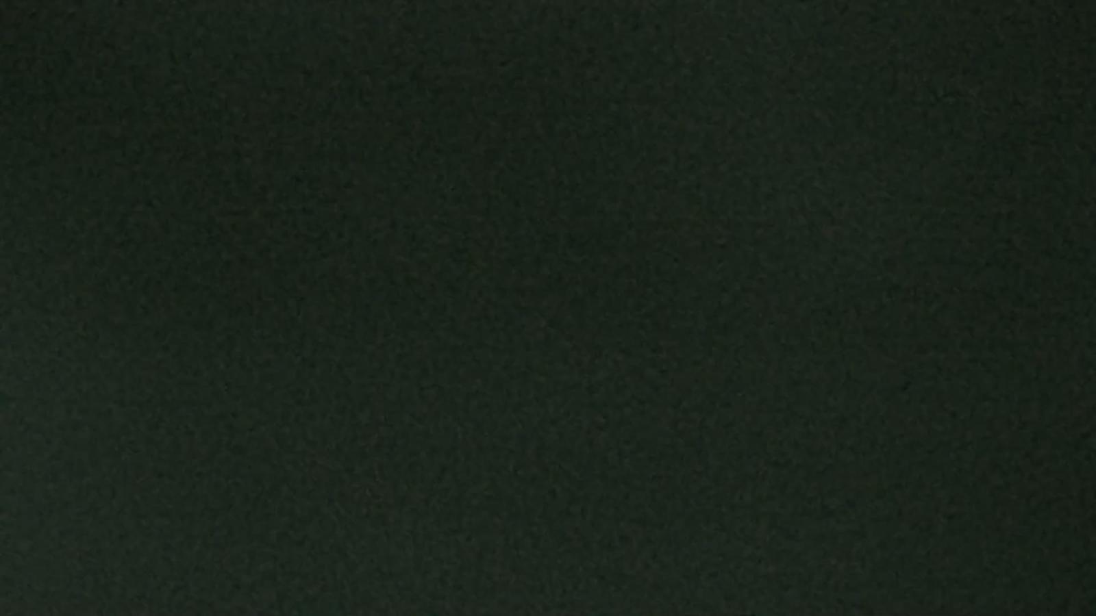 Webcam Whistler Blackcomb: Whistler Peak