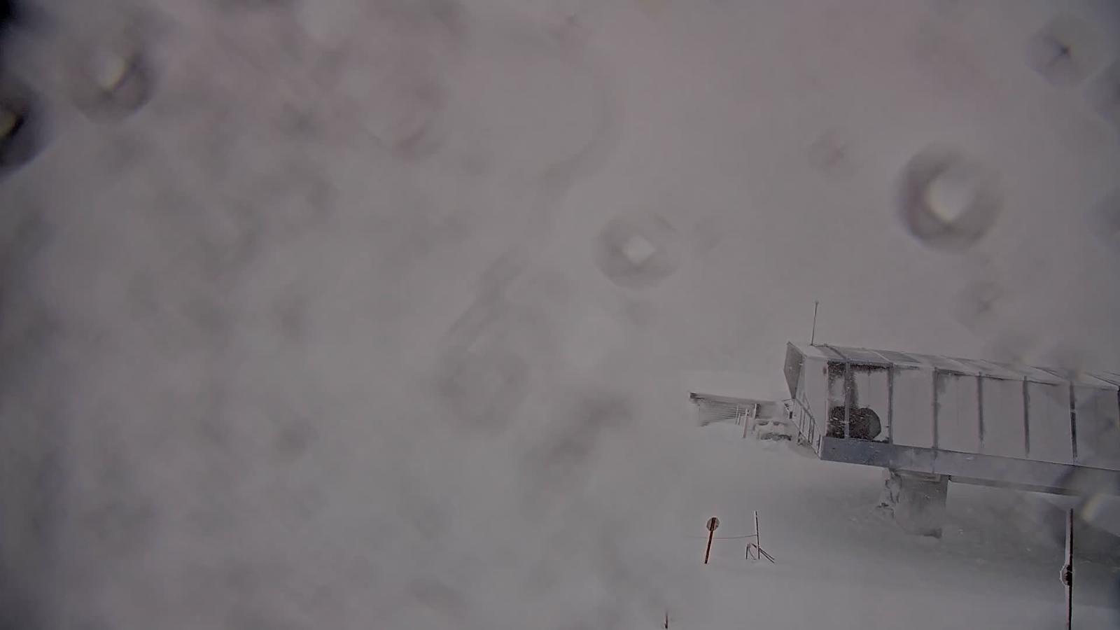 Webcam Whistler Blackcomb: Whistler Peak