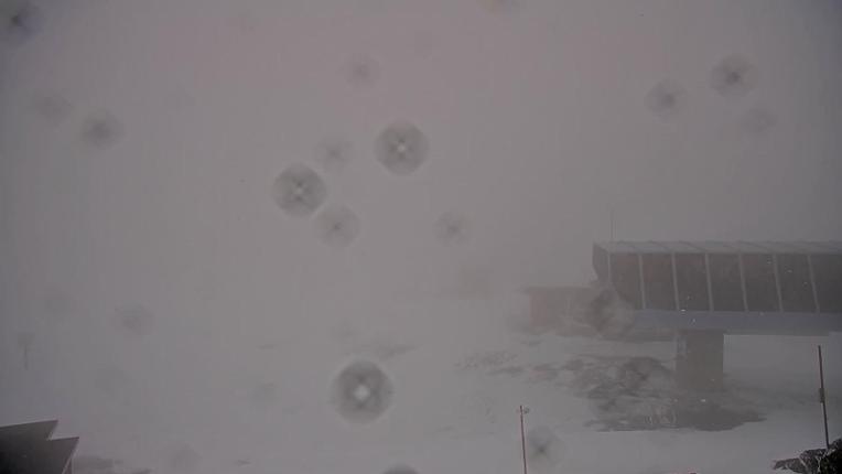 Webcam Whistler Blackcomb: Whistler Peak
