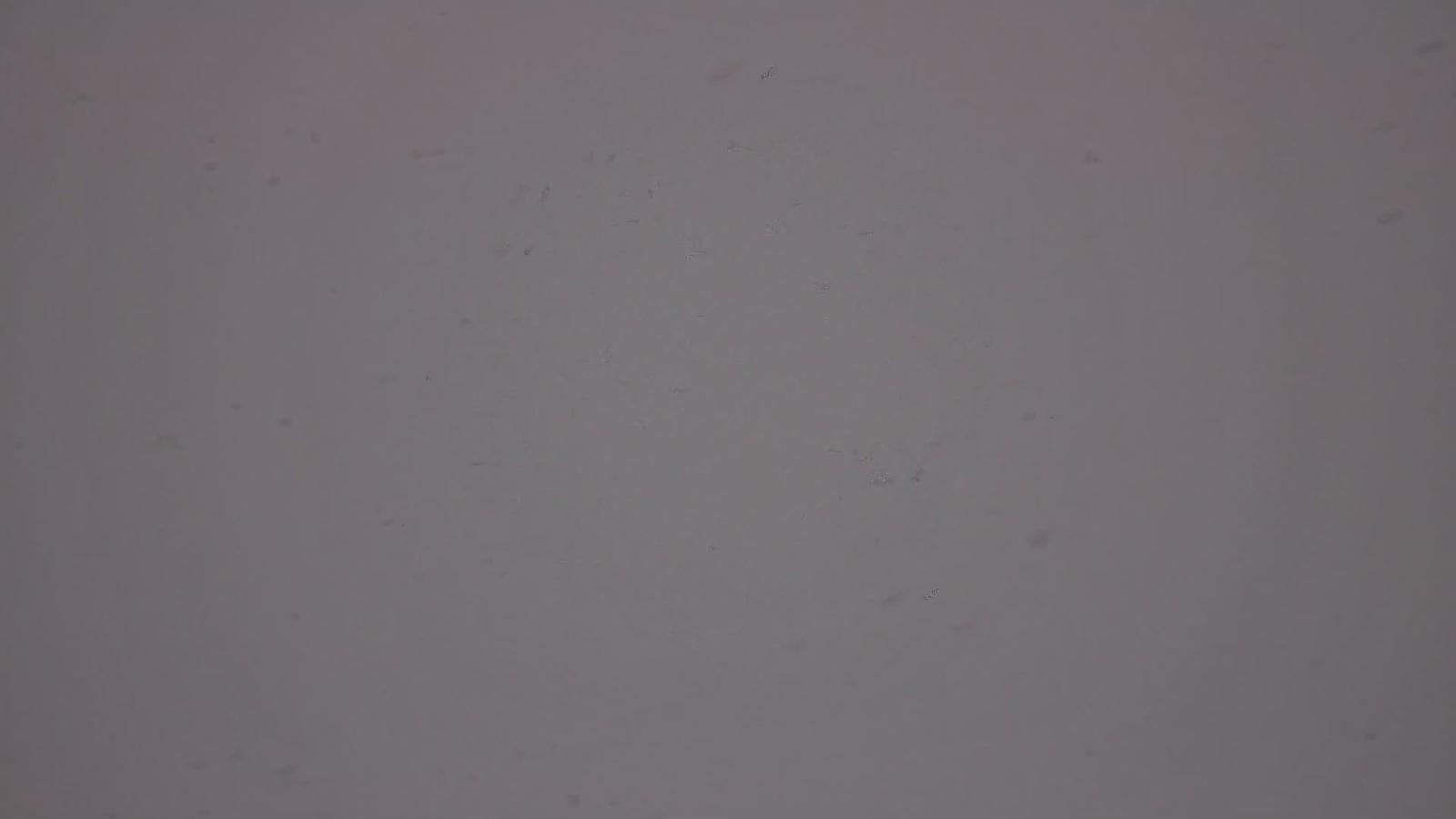 Webcam Whistler Blackcomb: Whistler Peak
