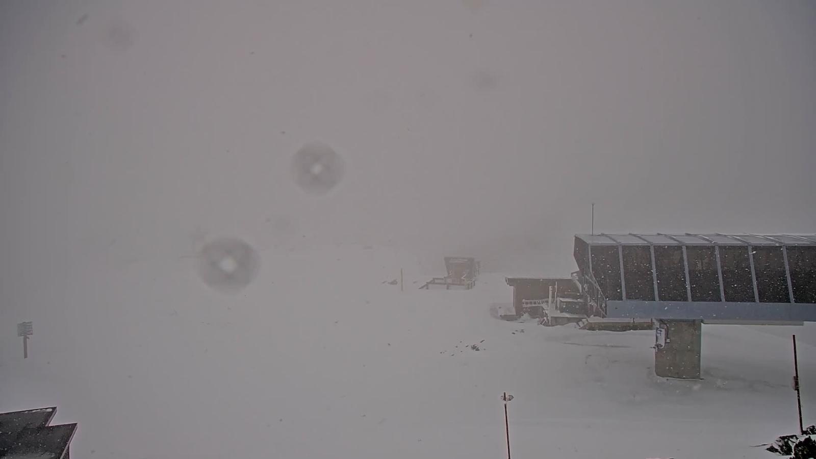 Webcam Whistler Blackcomb: Whistler Peak