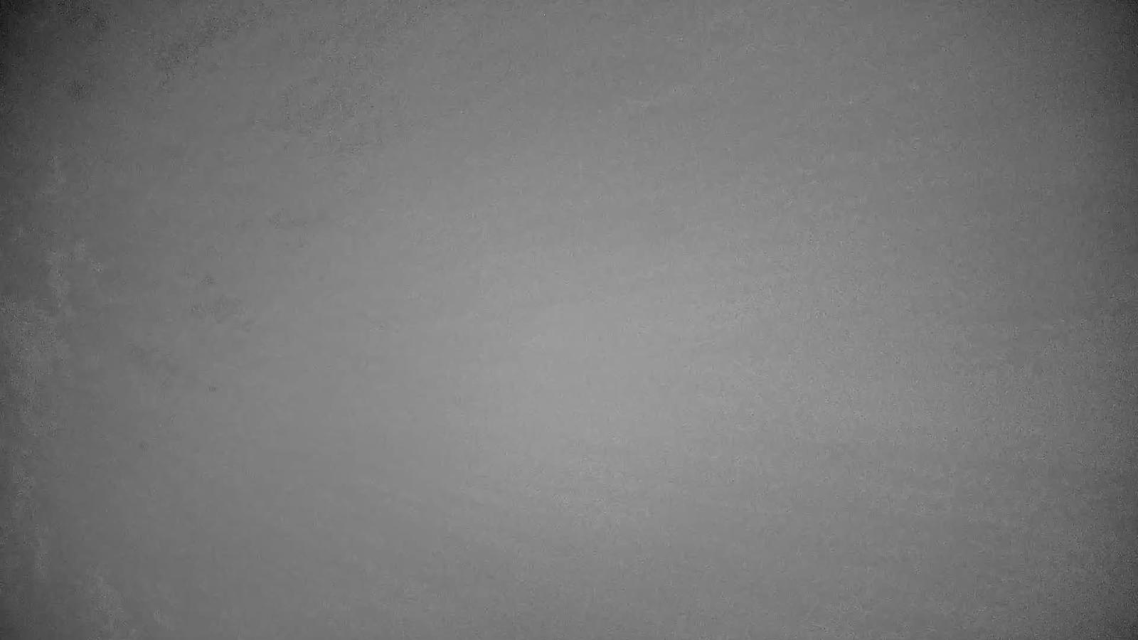 Webcam Whistler Blackcomb: Whistler Peak
