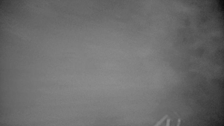 Webcam Whistler Blackcomb: Whistler Peak