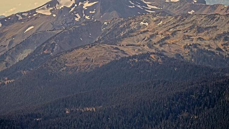 Webcam Whistler Blackcomb: Whistler Peak