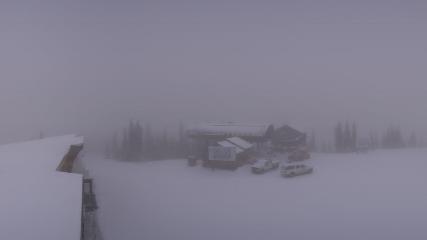 Whitefish Mountain Resort: Summit Panorama (skiwhitefish.com)