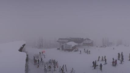 Whitefish Mountain Resort: Summit Panorama (skiwhitefish.com)