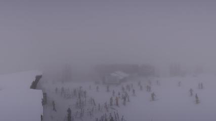 Whitefish Mountain Resort: Summit Panorama (skiwhitefish.com)