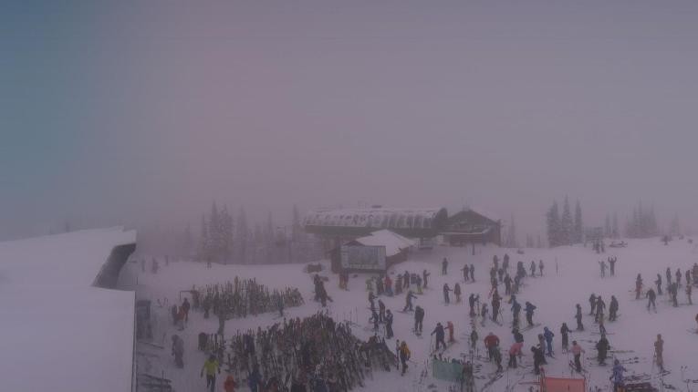 Webcam Whitefish Mountain Resort: Summit Panorama