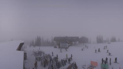 Whitefish Mountain Resort: Summit Panorama (skiwhitefish.com)