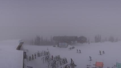 Whitefish Mountain Resort: Summit Panorama (skiwhitefish.com)