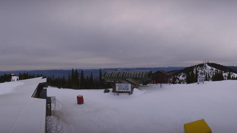 Webcam Whitefish Mountain Resort: Summit Panorama