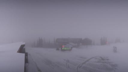 Whitefish Mountain Resort: Summit Panorama (skiwhitefish.com)