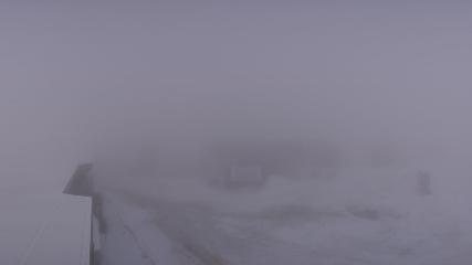 Whitefish Mountain Resort: Summit Panorama (skiwhitefish.com)