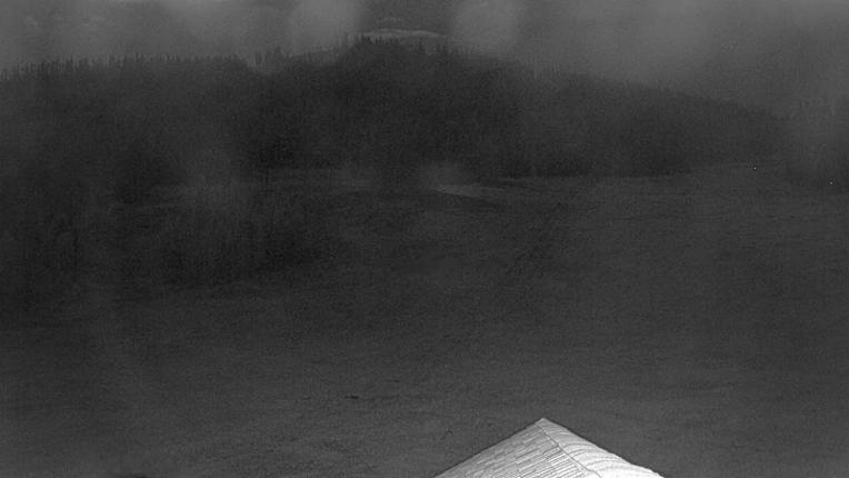 Webcam Winter Park: Snoasis