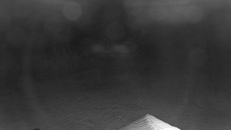 Webcam Winter Park: Snoasis