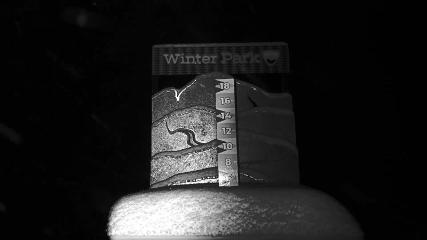 Winter Park: Snowstake (winterparkresort.com)