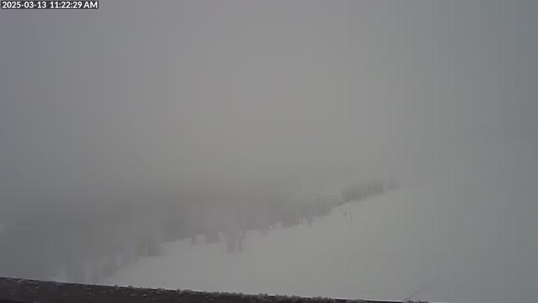 Webcam Wolf Creek: Summit