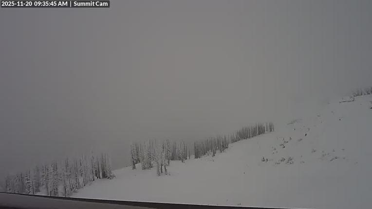 Webcam Wolf Creek: Summit