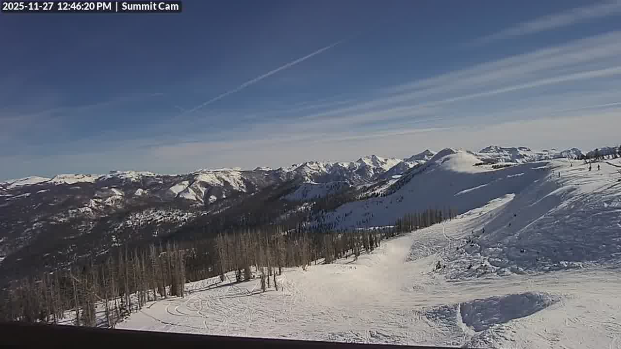 Webcam Wolf Creek: Summit