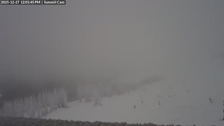 Webcam Wolf Creek: Summit
