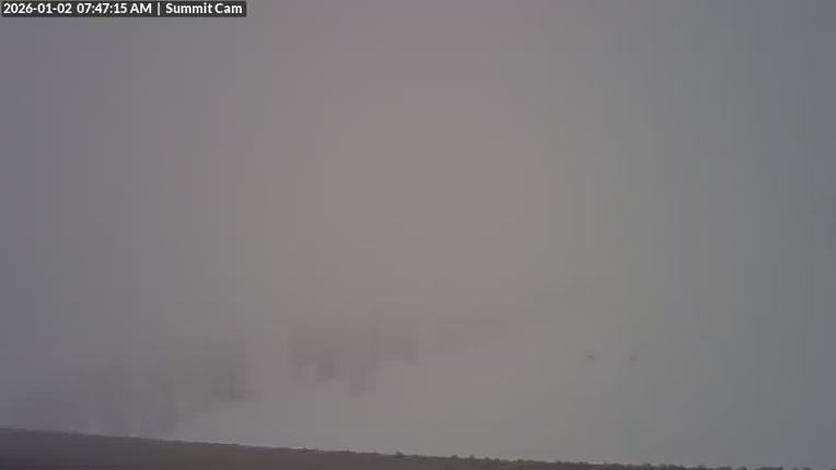 Webcam Wolf Creek: Summit