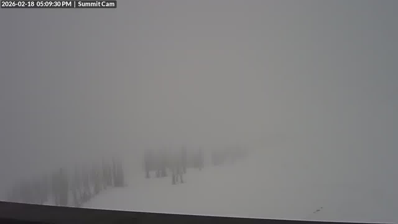 Webcam Wolf Creek: Summit