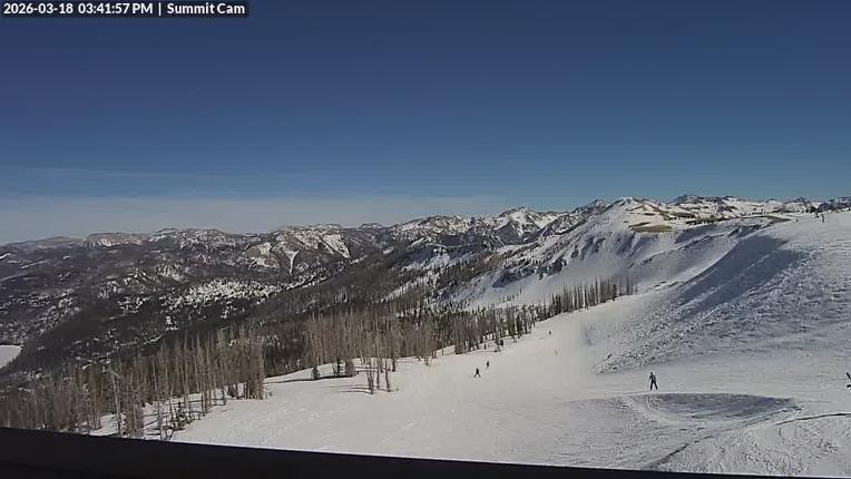 Webcam Wolf Creek: Summit