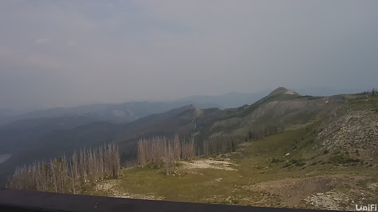 Webcam Wolf Creek: Summit