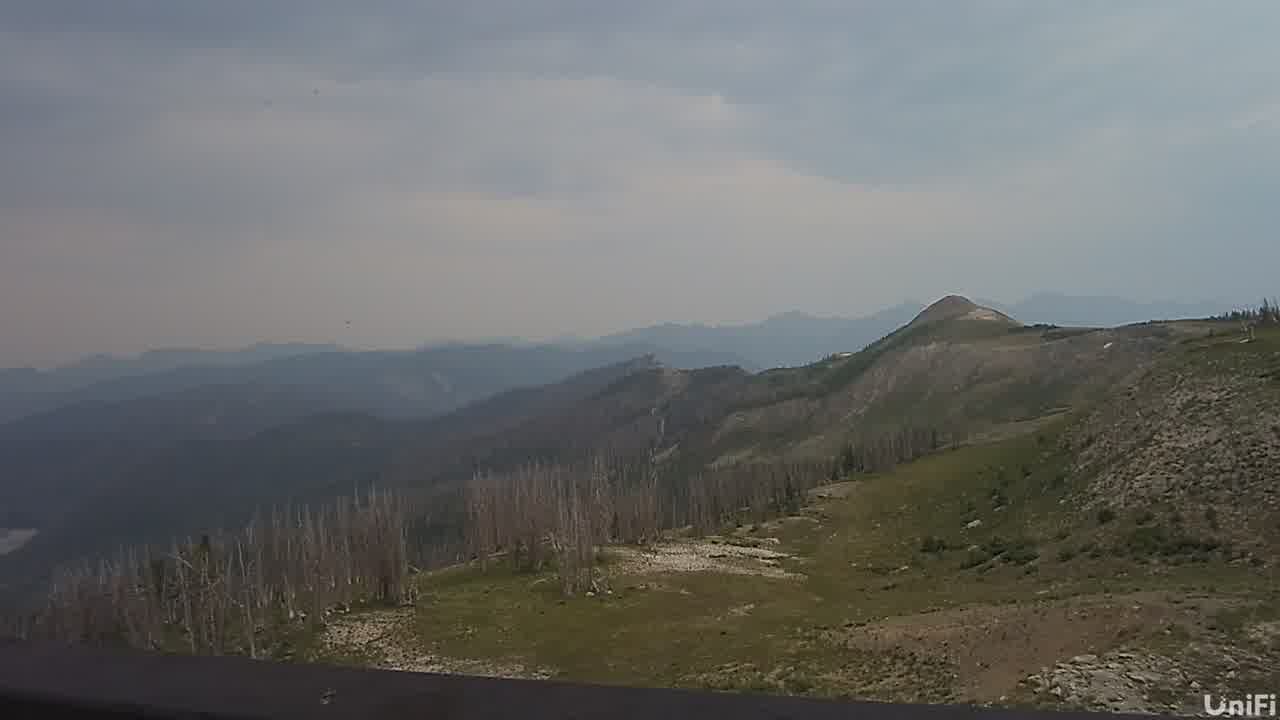 Webcam Wolf Creek: Summit