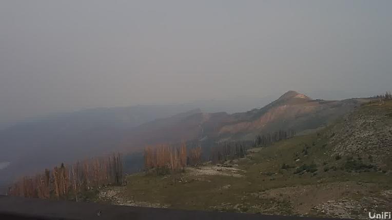 Webcam Wolf Creek: Summit