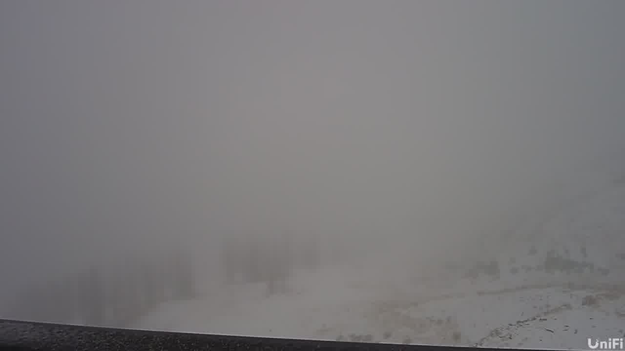 Webcam Wolf Creek: Summit