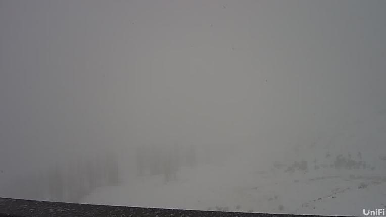 Webcam Wolf Creek: Summit