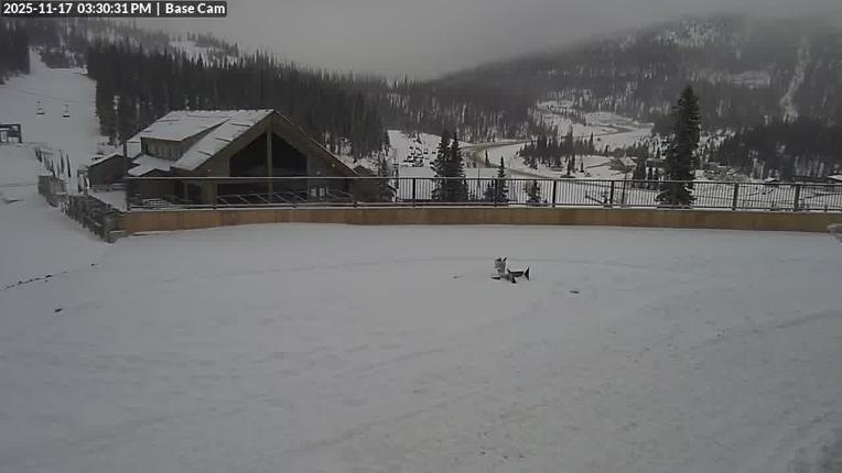 Webcam Wolf Creek: Treasure