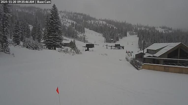 Webcam Wolf Creek: Treasure