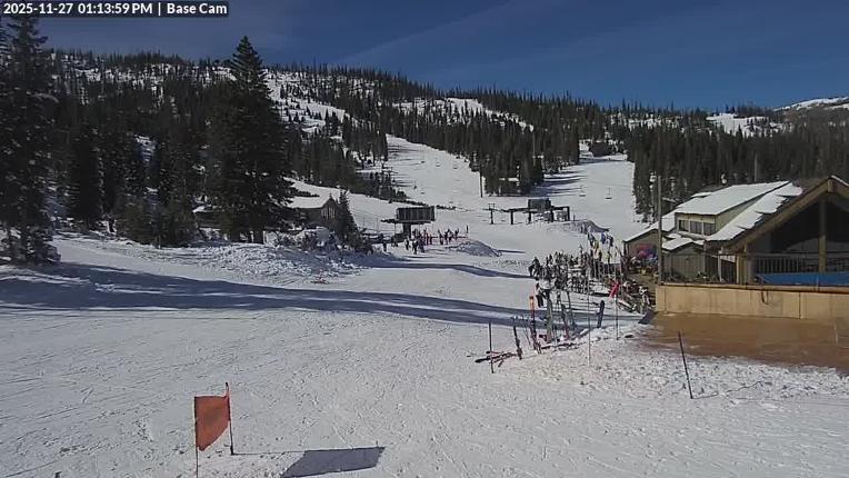 Webcam Wolf Creek: Treasure