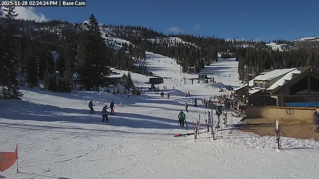 Webcam Wolf Creek: Treasure