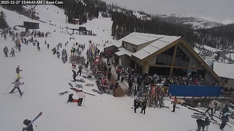 Webcam Wolf Creek: Treasure