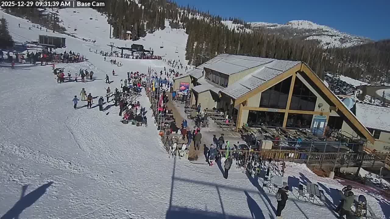 Webcam Wolf Creek: Treasure