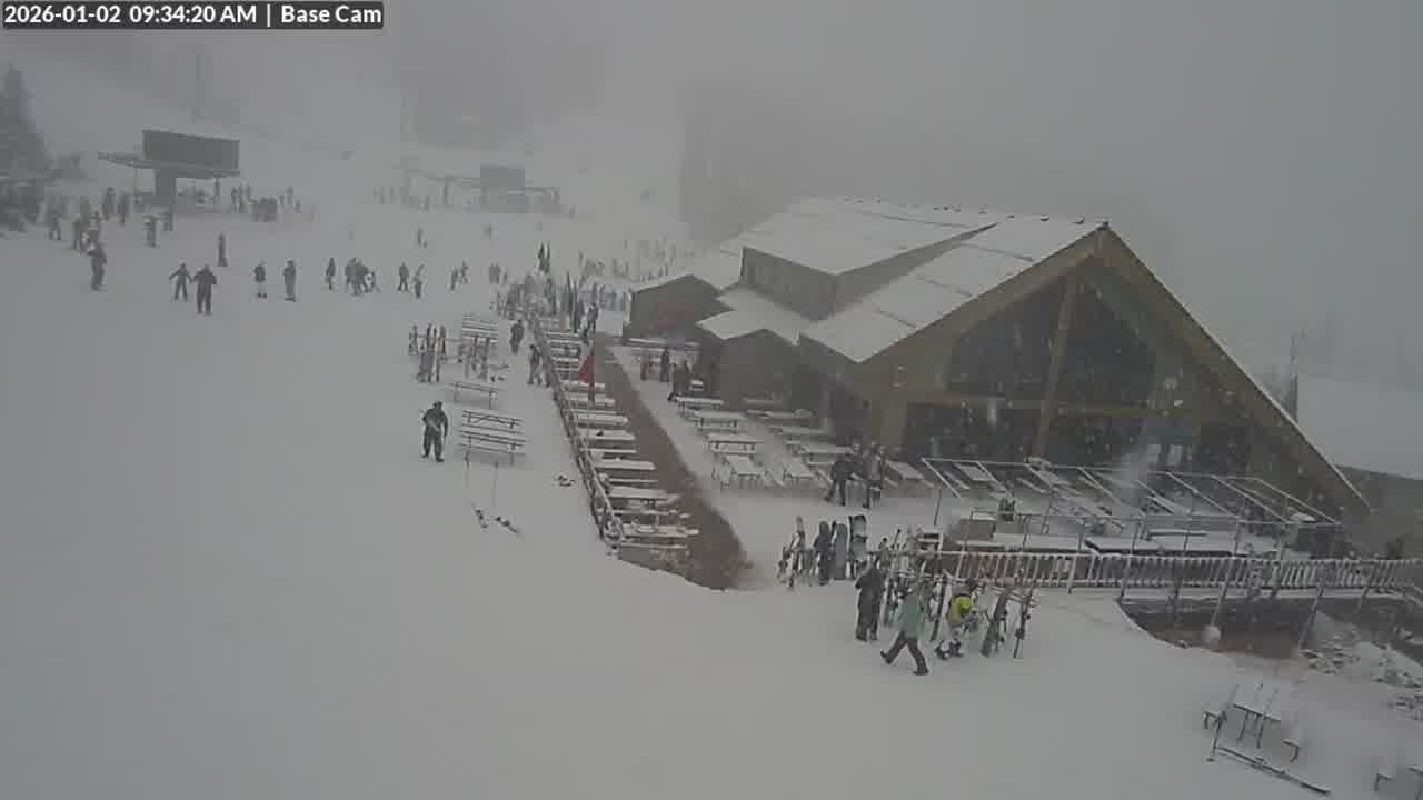 Webcam Wolf Creek: Treasure