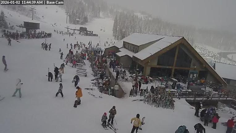 Webcam Wolf Creek: Treasure