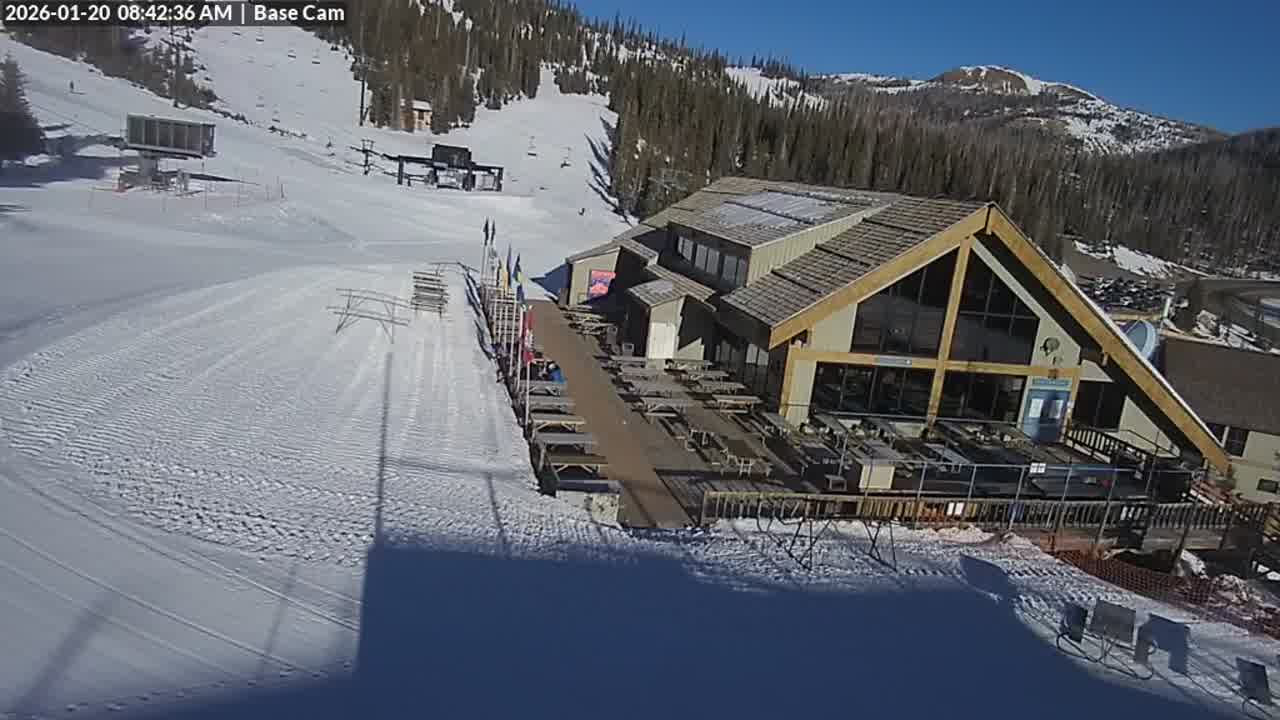 Webcam Wolf Creek: Treasure