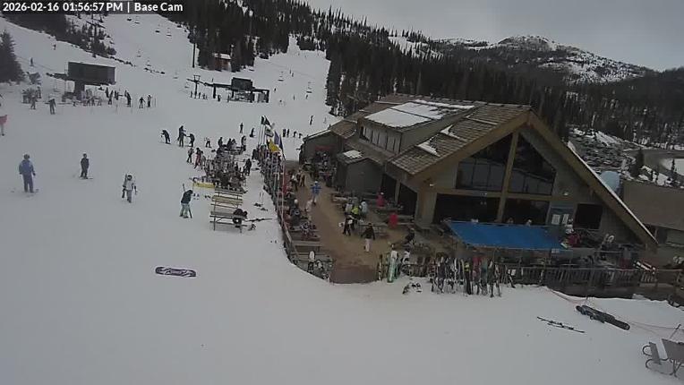 Webcam Wolf Creek: Treasure