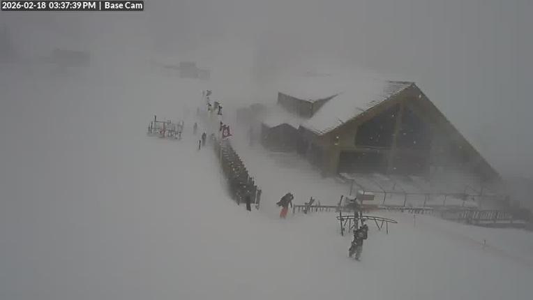 Webcam Wolf Creek: Treasure